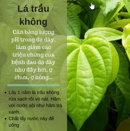 LA TRAU KHONG