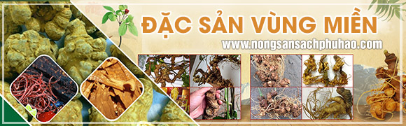 Đặc sản vùng miền