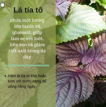 LÁ TÍA TÔ