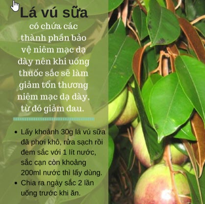 LA VU SUA